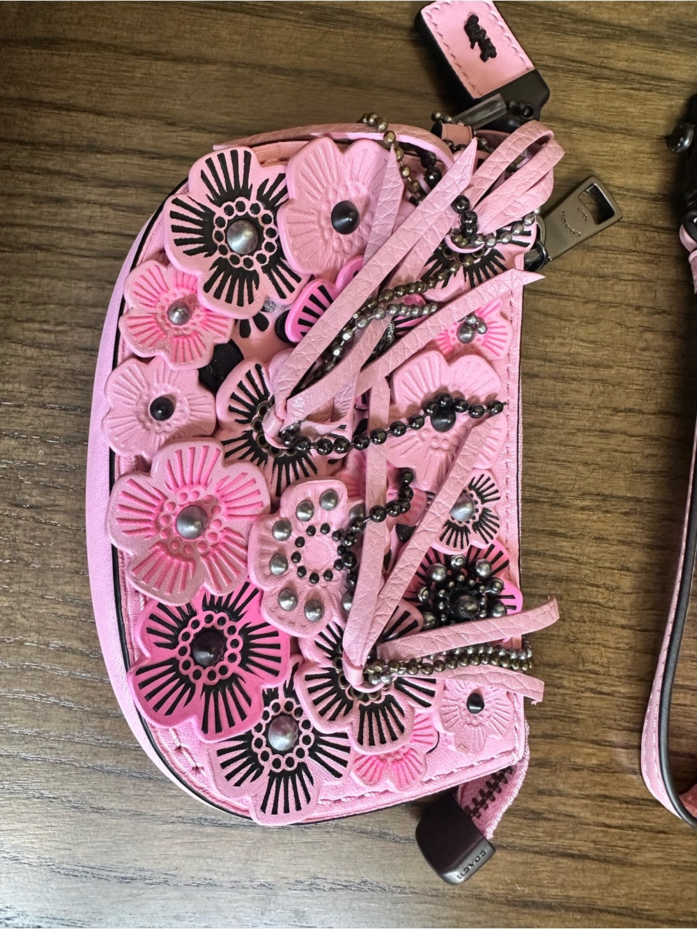 Coach Pouch with Wild Tea Roses